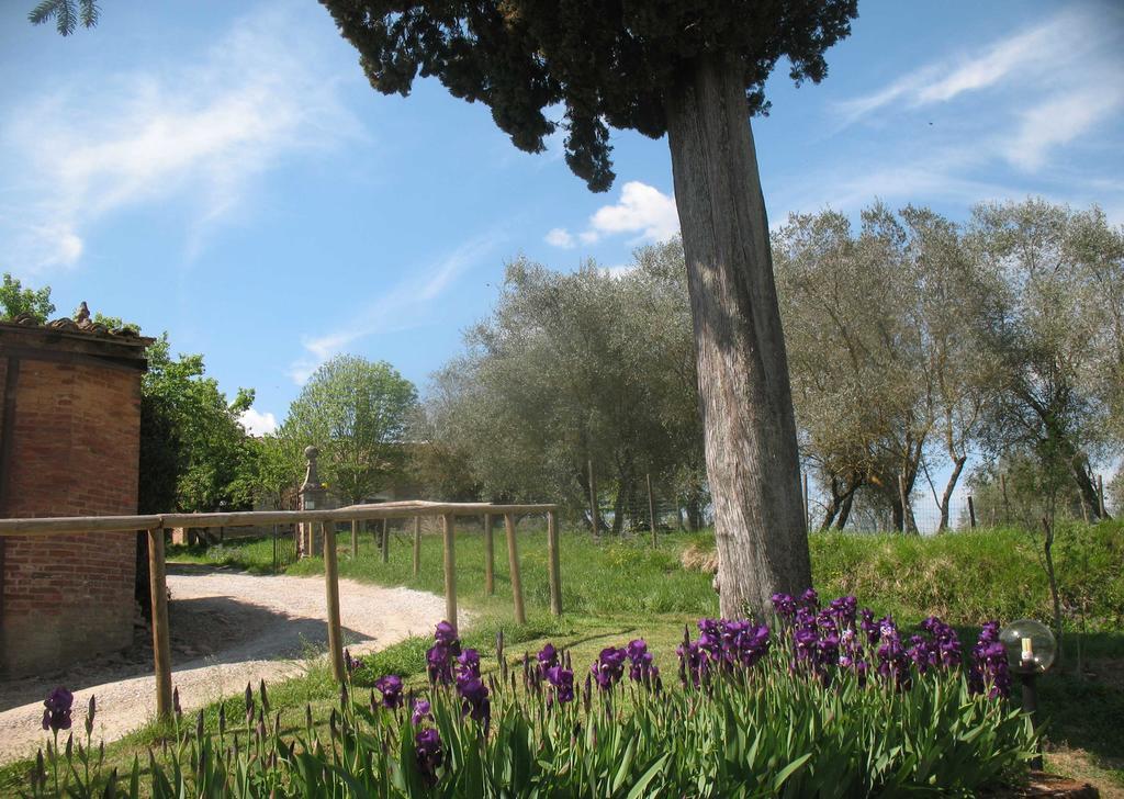 Agriturismo La Torretta Siena Exterior foto
